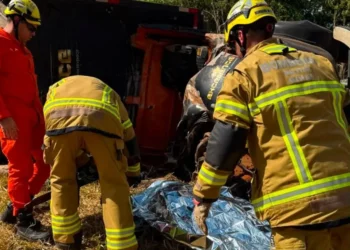 acidente-com-caminhao-deixa-um-morto-e-quatro-feridos-na-go-338,-em-pirenopolis