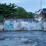 camara-de-goiania-aprova-criacao-do-museu-e-memorial-do-cesio-137