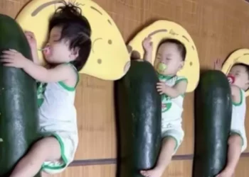 chineses-dormem-abracados-a-meloes-gigantes-para-enfrentar-calor-extremo;-entenda
