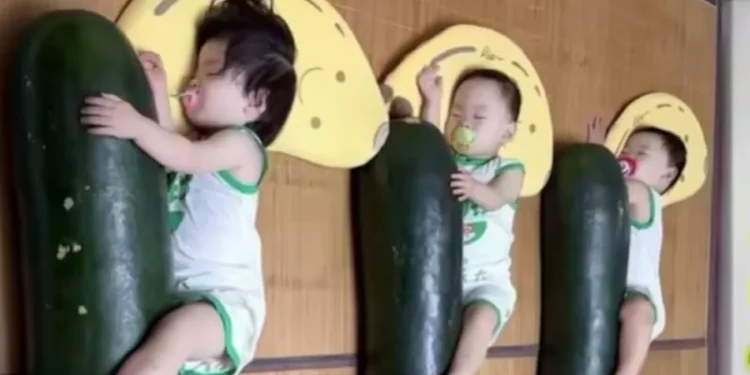 chineses-dormem-abracados-a-meloes-gigantes-para-enfrentar-calor-extremo;-entenda