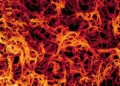 oms-alerta-para-risco-de-expansao-internacional-de-surto-de-ebola-no-congo
