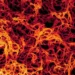 oms-alerta-para-risco-de-expansao-internacional-de-surto-de-ebola-no-congo