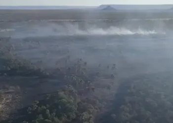 apos-oito-dias,-incendio-em-terra-ronca-chega-ao-fim-com-14,1-mil-hectares-atingidos