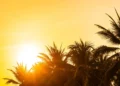 prepare-se-para-o-calor:-goiania-pode-registrar-34°c-nesta-quinta-(20)
