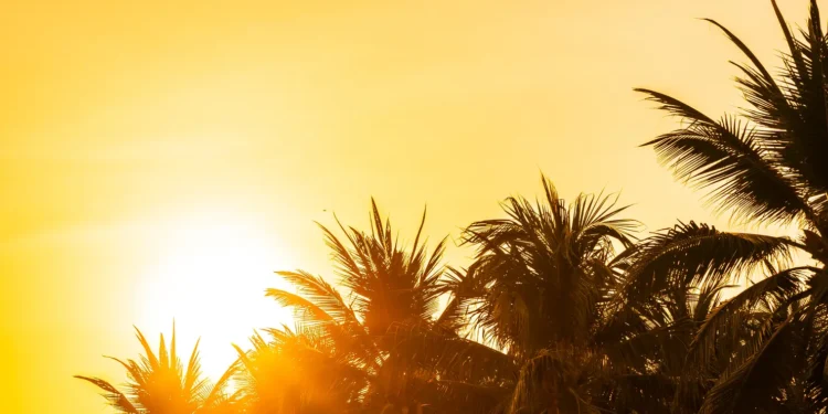 prepare-se-para-o-calor:-goiania-pode-registrar-34°c-nesta-quinta-(20)