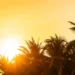 prepare-se-para-o-calor:-goiania-pode-registrar-34°c-nesta-quinta-(20)