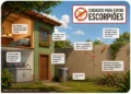 escorpioes-em-areas-urbanas-exigem-cuidados-dentro-e-fora-de-casa-no-df