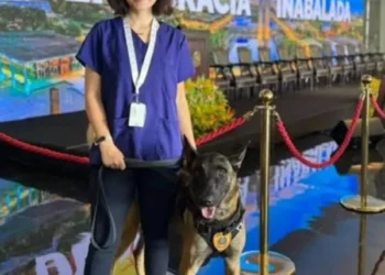 veterinaria-atacada-por-cao-do-senado-esta-em-estado-grave-na-uti