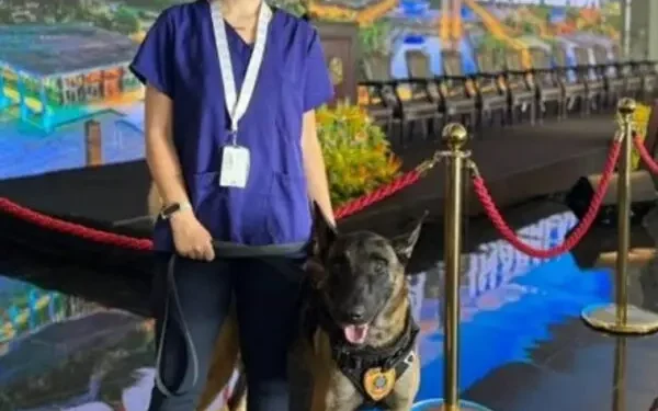 veterinaria-atacada-por-cao-do-senado-esta-em-estado-grave-na-uti