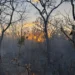 incendio-ja-destruiu-mais-de-600-hectares-em-goias