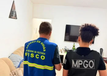 empresas-sao-investigadas-por-esquema-de-sonegacao-milionaria-no-comercio-de-graos-em-goias