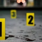 ate-onde-pode-ir-uma-investigacao-criminal-nascida-de-um-laco-de-familia