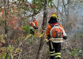 incendios-ja-atingem-mais-de-117-mil-hectares-em-parques-de-goias