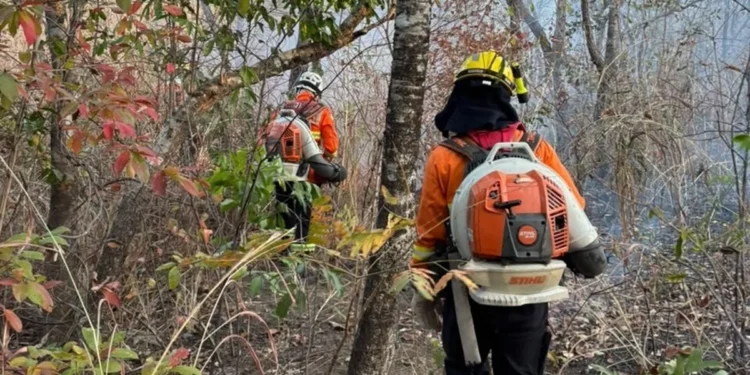 incendios-ja-atingem-mais-de-117-mil-hectares-em-parques-de-goias