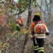 incendios-ja-atingem-mais-de-117-mil-hectares-em-parques-de-goias