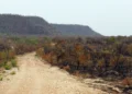 uniao-anuncia-investimento-de-r$-1,3-bilhao-para-enfrentar-efeitos-do-el-nino