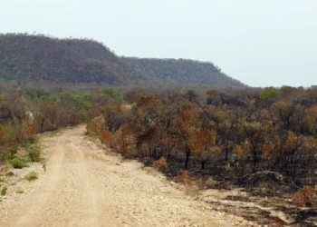 uniao-anuncia-investimento-de-r$-1,3-bilhao-para-enfrentar-efeitos-do-el-nino