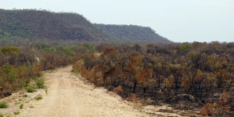 uniao-anuncia-investimento-de-r$-1,3-bilhao-para-enfrentar-efeitos-do-el-nino