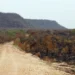 uniao-anuncia-investimento-de-r$-1,3-bilhao-para-enfrentar-efeitos-do-el-nino