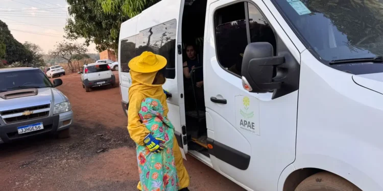 cerca-de-40-pessoas-sao-atacadas-por-abelhas-em-piracanjuba