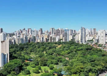 goiania-simplifica-licenciamento,-mas-fiscalizacao-gera-questionamentos