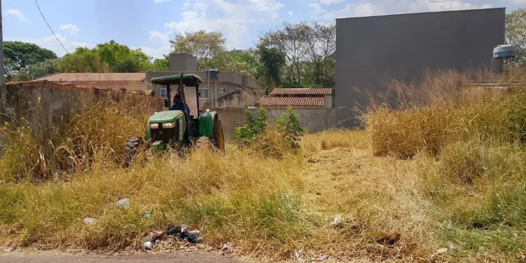 mato-alto-no-lote?-prefeitura-faz-a-limpeza-e-envia-a-conta-ao-dono-em-goiania