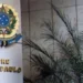 tre-sp-manda-remover-falsa-noticia-sobre-atentado-contra-hang