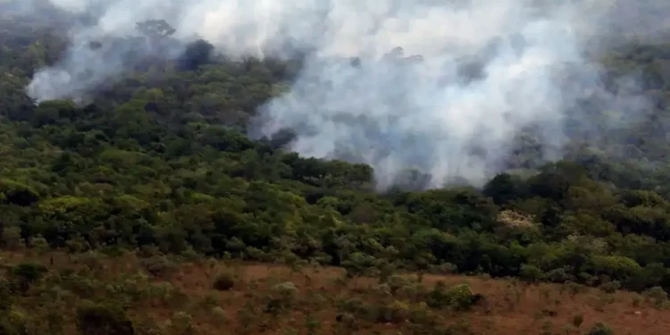 uniao-reforca-acoes-contra-impactos-do-el-nino-no-centro-oeste-com-r$-521-milhoes