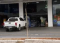 arvore-seca-na-t-9-e-removida-pela-amma-em-goiania;-muda-ja-foi-plantada-no-local