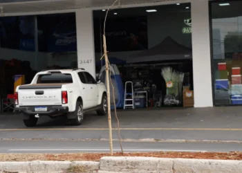 arvore-seca-na-t-9-e-removida-pela-amma-em-goiania;-muda-ja-foi-plantada-no-local