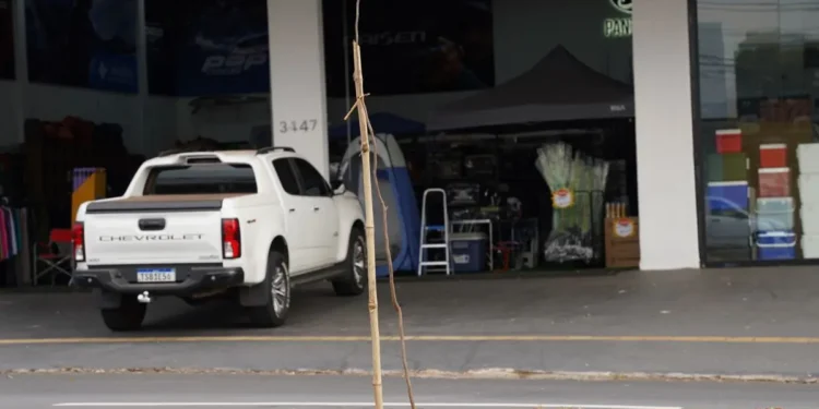 arvore-seca-na-t-9-e-removida-pela-amma-em-goiania;-muda-ja-foi-plantada-no-local