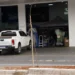 arvore-seca-na-t-9-e-removida-pela-amma-em-goiania;-muda-ja-foi-plantada-no-local