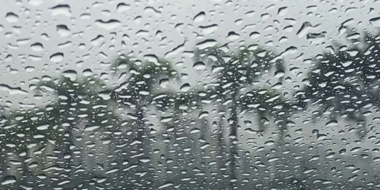 frente-fria-deve-trazer-chuva-forte,-raios-e-ventos-de-ate-60-km/h-para-goias