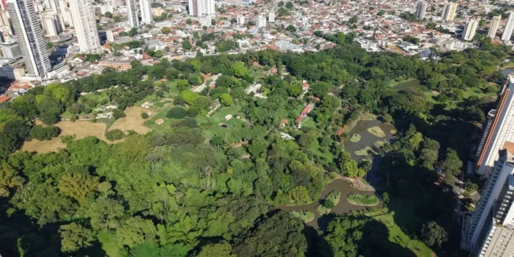 98,3%-dos-visitantes-recomendam-goiania-como-destino-turistico