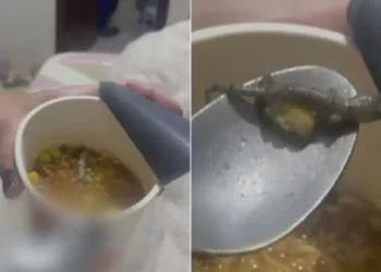 mulher-encontra-lagartixa-em-macarrao-e-sera-indenizada-em-goias