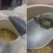 mulher-encontra-lagartixa-em-macarrao-e-sera-indenizada-em-goias