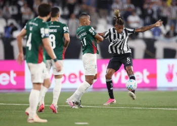 palmeiras-empata-com-o-botafogo-e-perde-a-lideranca-do-brasileirao