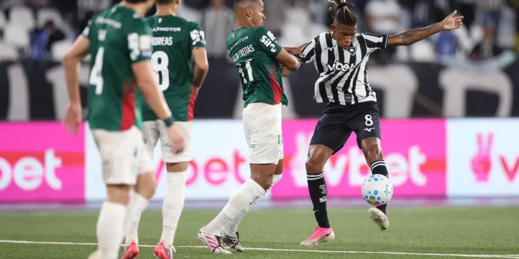 palmeiras-empata-com-o-botafogo-e-perde-a-lideranca-do-brasileirao