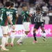palmeiras-empata-com-o-botafogo-e-perde-a-lideranca-do-brasileirao