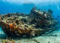 barcos-afundados-transformaram-fundo-arenoso-em-recife-artificial-proximo-a-gibraltar