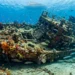 barcos-afundados-transformaram-fundo-arenoso-em-recife-artificial-proximo-a-gibraltar