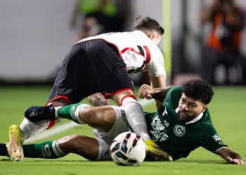 botafogo-sp-x-goias:-escalacoes,-horario-e-onde-assistir