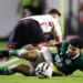 botafogo-sp-x-goias:-escalacoes,-horario-e-onde-assistir