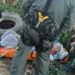 pm-resgata-homem-de-100-anos-ilhado-por-enchente-em-sp