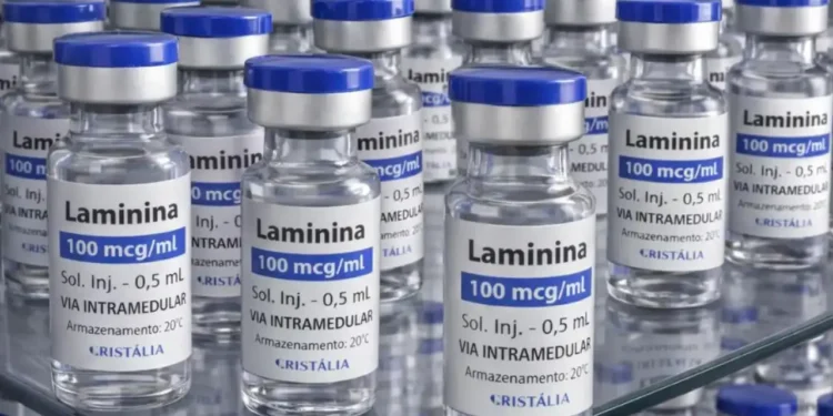 polilaminina-entra-em-teste-com-humanos