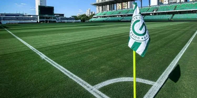 goias-tem-desfalque-para-enfrentar-o-avai-no-proximo-domingo-(20)