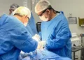 goias-realiza-primeira-captacao-de-orgaos-de-bebe-de-29-dias