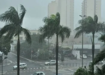 primavera-deve-mudar-o-tempo-em-goias-a-partir-desta-semana