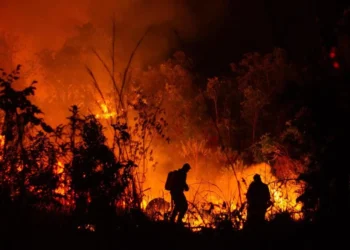 fogo-avanca-e-fecha-trilhas-na-chapada-dos-veadeiros-em-goias