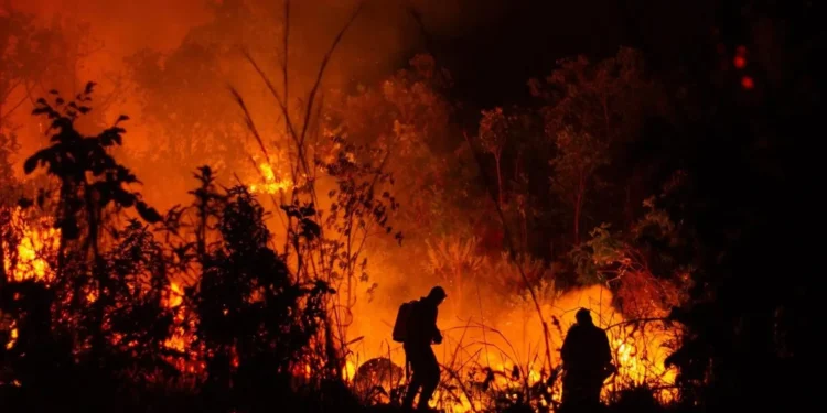 fogo-avanca-e-fecha-trilhas-na-chapada-dos-veadeiros-em-goias